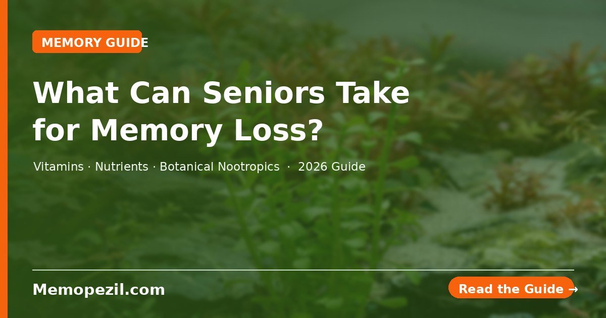 What can seniors take for memory loss — Memopezil Blog